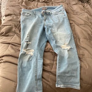 Torrid Crop Jeggings